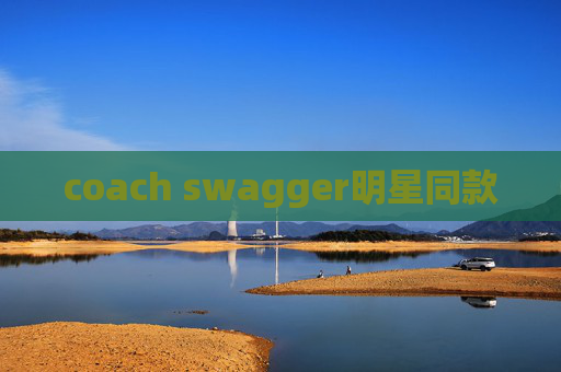 coach swagger明星同款
